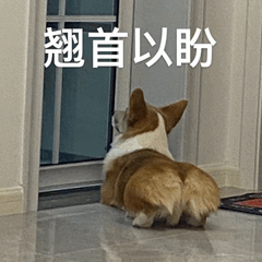 的到来奏响, EAA, AAA